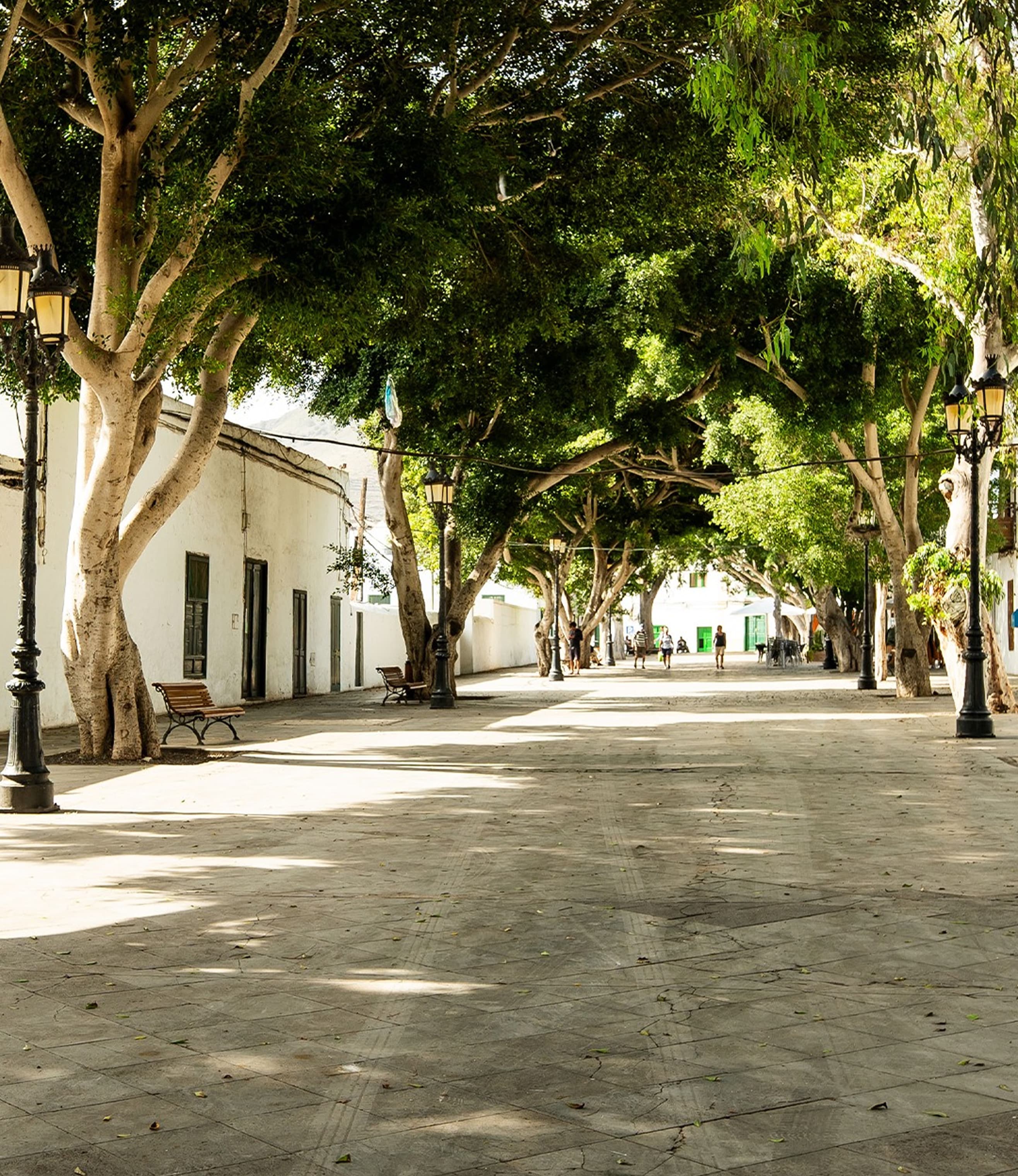 Imagen de la calle del pueblo de Haria